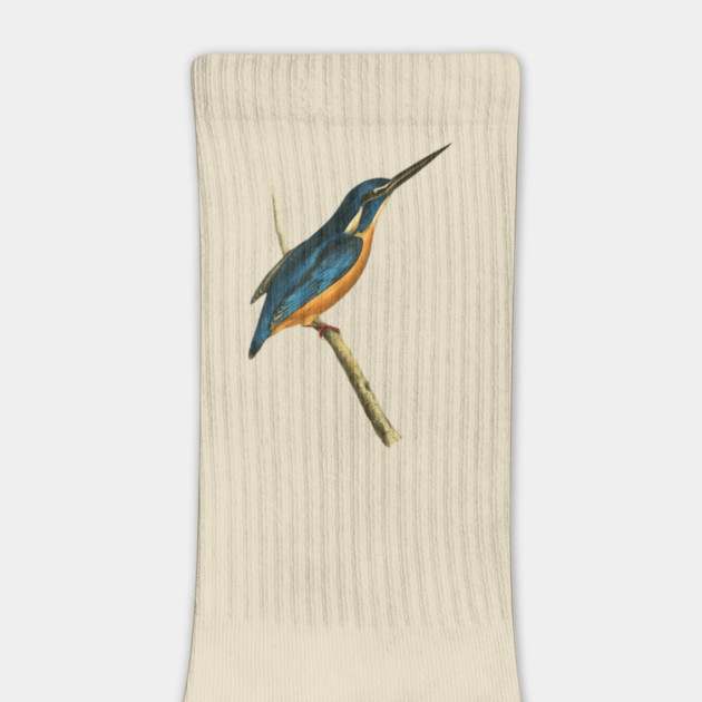 Azure Kingfisher Vintage Bird Illustration by William Swainson by TuncGK