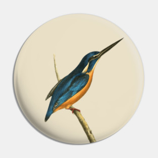 Azure Kingfisher Vintage Bird Illustration by William Swainson Pin