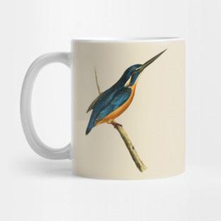 Azure Kingfisher Vintage Bird Illustration by William Swainson Mug