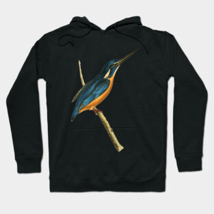Azure Kingfisher Vintage Bird Illustration by William Swainson Hoodie