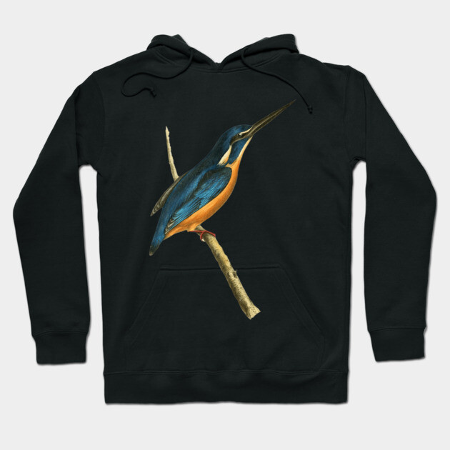 Azure Kingfisher Vintage Bird Illustration by William Swainson Hoodie by TuncGK