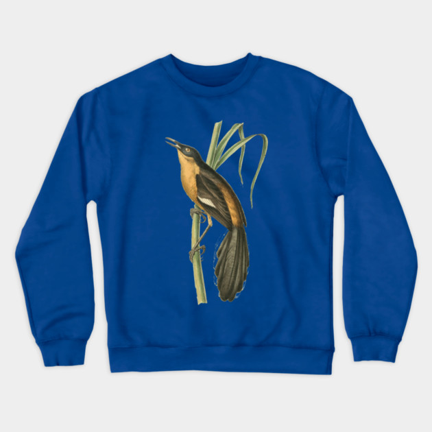 Babbling Thrush Vintage Bird Art - William Swainson Crewneck Sweatshirt by TuncGK