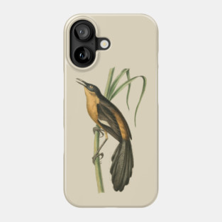 Babbling Thrush Vintage Bird Art - William Swainson Phone Case