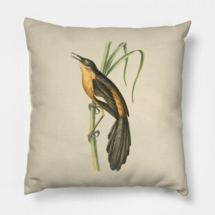 Babbling Thrush Vintage Bird Art - William Swainson Pillow