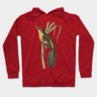 Babbling Thrush Vintage Bird Art - William Swainson Hoodie