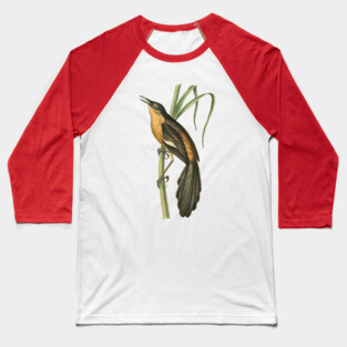 Babbling Thrush Vintage Bird Art - William Swainson Baseball T-Shirt