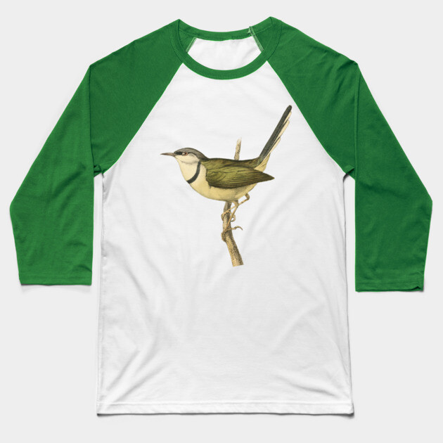 Bar-Throated Apalis Bird Illustration - Vintage Swainson Art Baseball T-Shirt by TuncGK