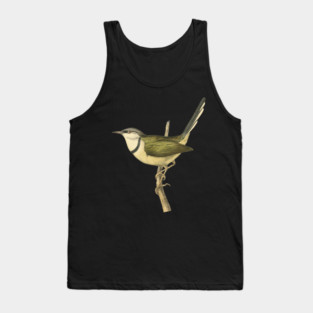 Bar-Throated Apalis Bird Illustration - Vintage Swainson Art Tank Top