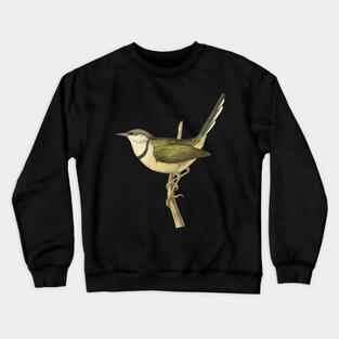 Bar-Throated Apalis Bird Illustration - Vintage Swainson Art Crewneck Sweatshirt
