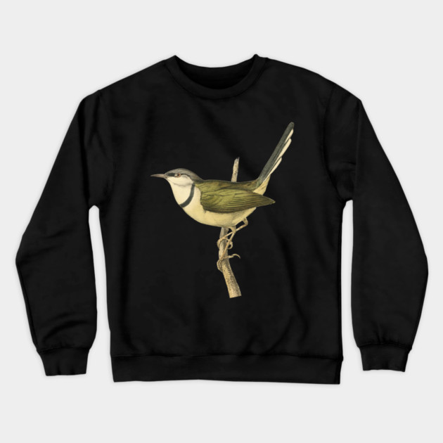 Bar-Throated Apalis Bird Illustration - Vintage Swainson Art Crewneck Sweatshirt by TuncGK