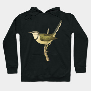 Bar-Throated Apalis Bird Illustration - Vintage Swainson Art Hoodie