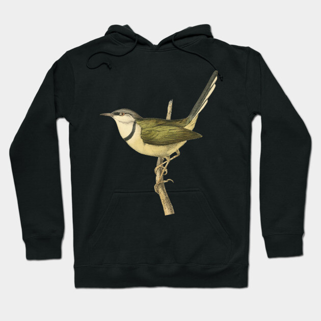 Bar-Throated Apalis Bird Illustration - Vintage Swainson Art Hoodie by TuncGK