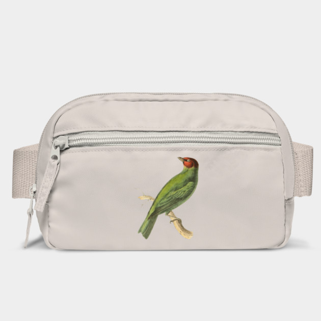 Bay-Headed Tanager Bird Vintage Print by Swainson by TuncGK