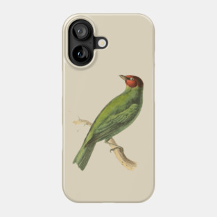 Bay-Headed Tanager Bird Vintage Print by Swainson Phone Case