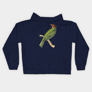 Bay-Headed Tanager Bird Vintage Print by Swainson Kids Hoodie
