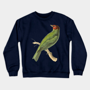 Bay-Headed Tanager Bird Vintage Print by Swainson Crewneck Sweatshirt