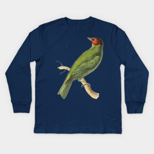 Bay-Headed Tanager Bird Vintage Print by Swainson Kids Long Sleeve T-Shirt
