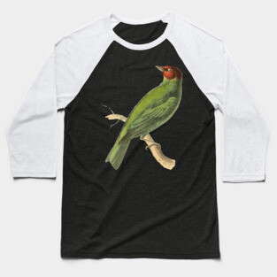 Bay-Headed Tanager Bird Vintage Print by Swainson Baseball T-Shirt