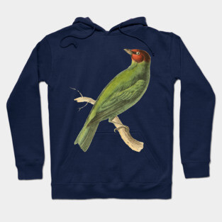 Bay-Headed Tanager Bird Vintage Print by Swainson Hoodie