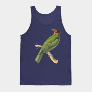 Bay-Headed Tanager Bird Vintage Print by Swainson Tank Top
