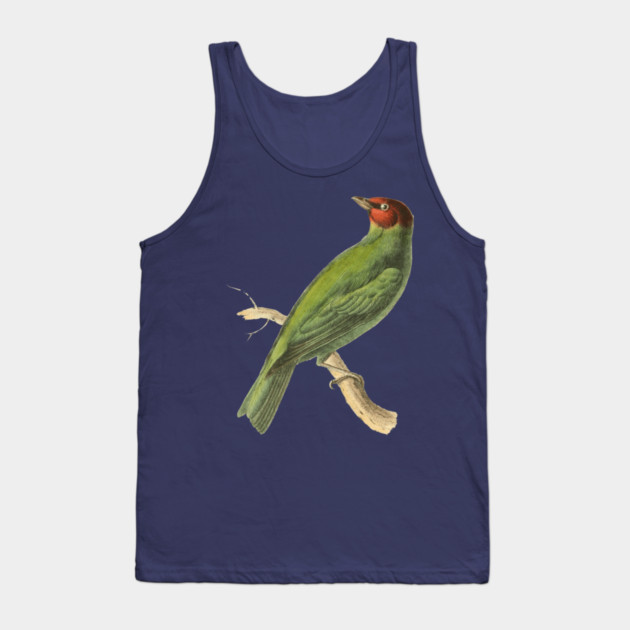 Bay-Headed Tanager Bird Vintage Print by Swainson Tank Top by TuncGK