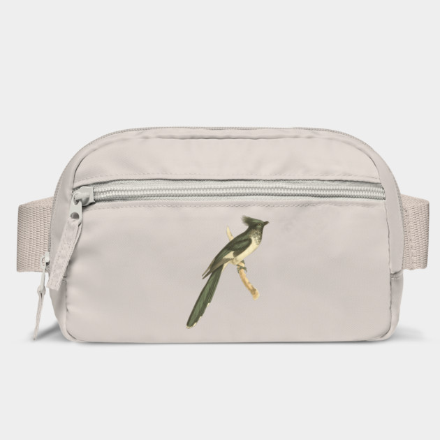 Black and White-throated Cuckoo Vintage Bird Illustration by TuncGK