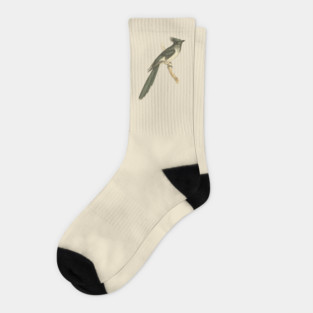 Black and White-throated Cuckoo Vintage Bird Illustration Socks