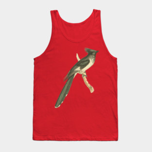 Black and White-throated Cuckoo Vintage Bird Illustration Tank Top