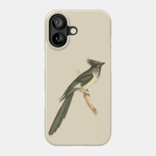 Black and White-throated Cuckoo Vintage Bird Illustration Phone Case