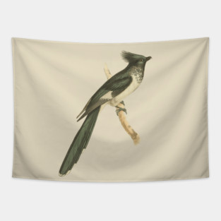 Black and White-throated Cuckoo Vintage Bird Illustration Tapestry
