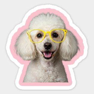 White Poodle Wearing Yellow Glasses Sticker