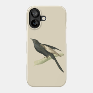 Black Cuckoo Vintage Bird Illustration by William Swainson Phone Case