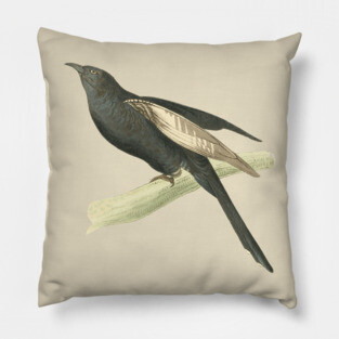 Black Cuckoo Vintage Bird Illustration by William Swainson Pillow