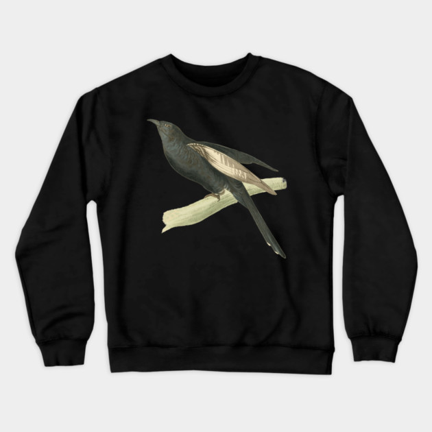 Black Cuckoo Vintage Bird Illustration by William Swainson Crewneck Sweatshirt by TuncGK