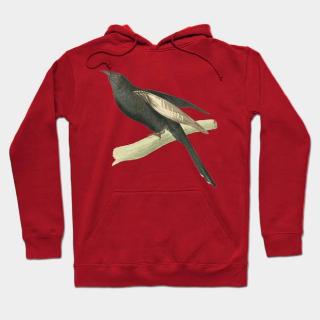 Black Cuckoo Vintage Bird Illustration by William Swainson Hoodie by TuncGK