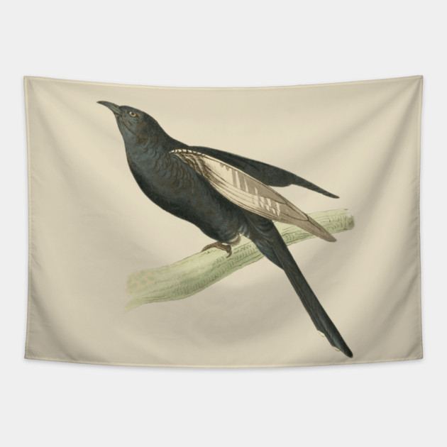 Black Cuckoo Vintage Bird Illustration by William Swainson Tapestry by TuncGK
