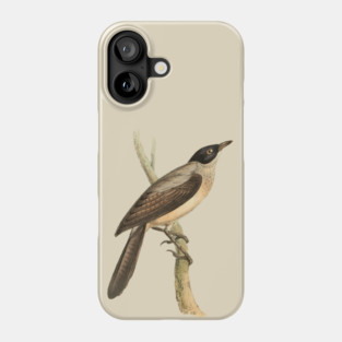 Blackcap Babbler Bird Vintage Print by Swainson Phone Case