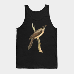 Blackcap Babbler Bird Vintage Print by Swainson Tank Top