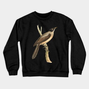 Blackcap Babbler Bird Vintage Print by Swainson Crewneck Sweatshirt