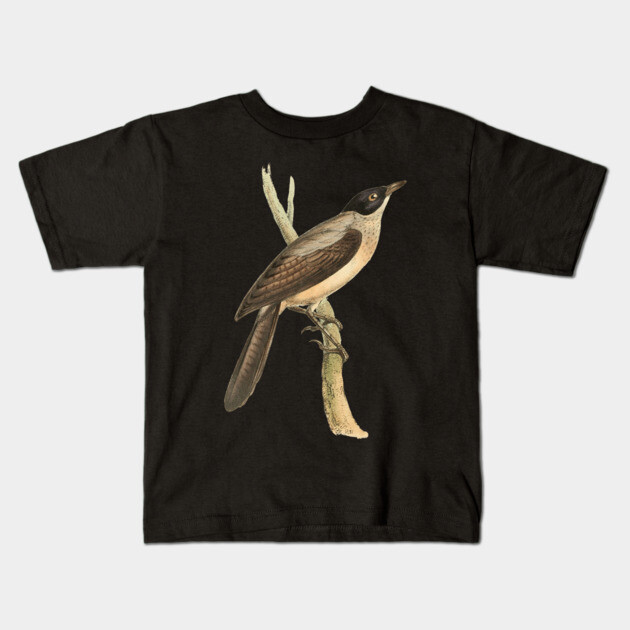 Blackcap Babbler Bird Vintage Print by Swainson Kids T-Shirt by TuncGK