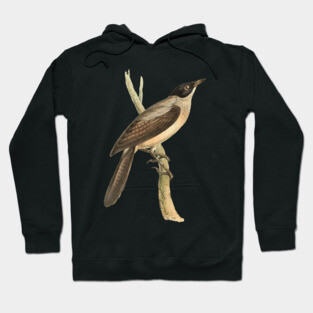 Blackcap Babbler Bird Vintage Print by Swainson Hoodie