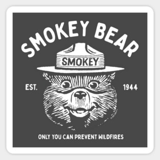 OFFICIALLY LICENSED Smokey Bear Vintage Logo Sticker