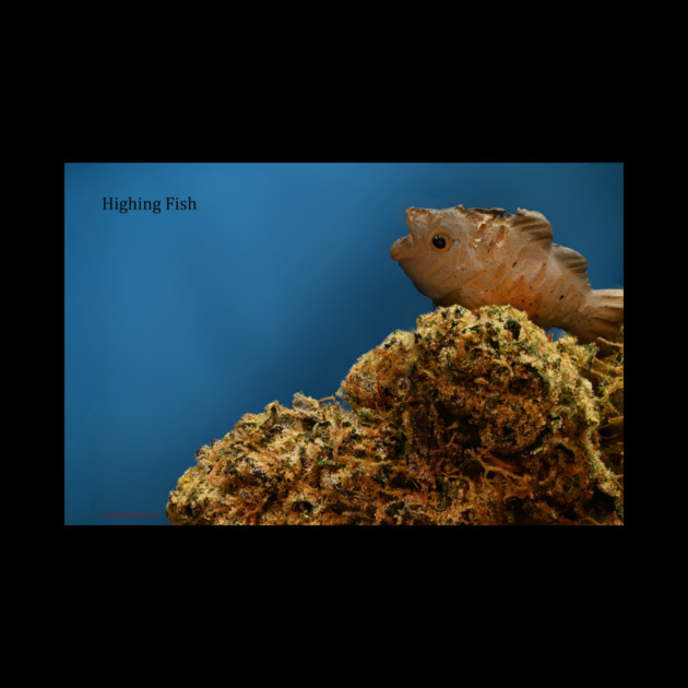 Highing Fish - Weed Design by MrGreenGenes420