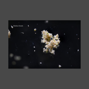 Bubble Hash - Weed Design T-Shirt