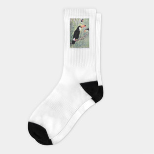 Giant Toucan Socks