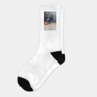 Monal Socks