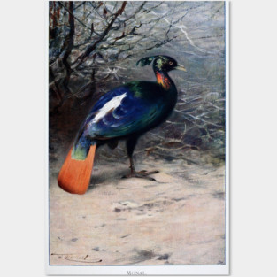 Monal Posters and Art