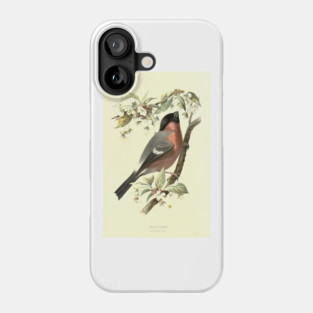 Bullfinch Phone Case