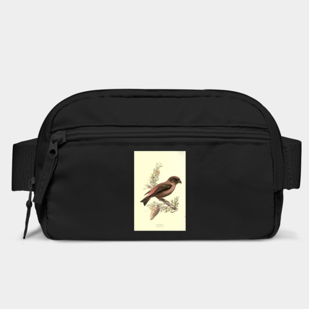 Crossbill by Jeramy's Store 1