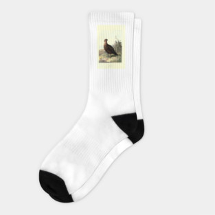 Grouse Socks